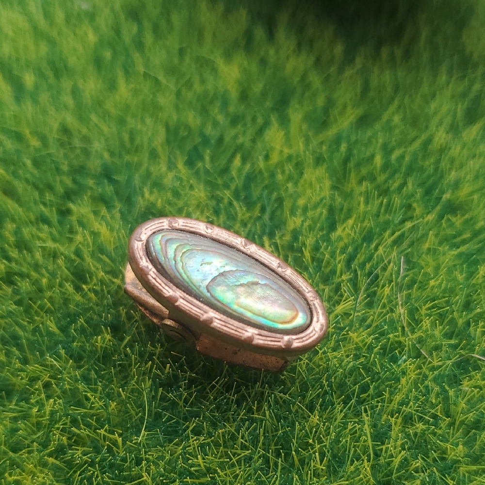 Mother Of Pearl Vintage Clip Overflow